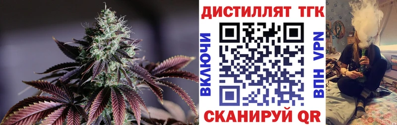 ТГК Wax  Балаково 